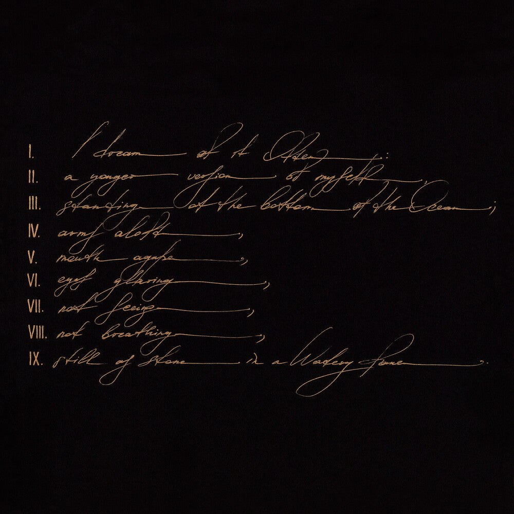 Telefon Tel Aviv - Dreams Are Not Enough (LP) { vinyl }