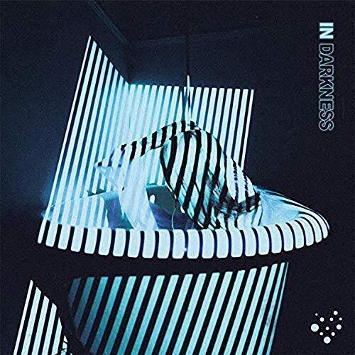 Varials- In Darkness { vinyl }