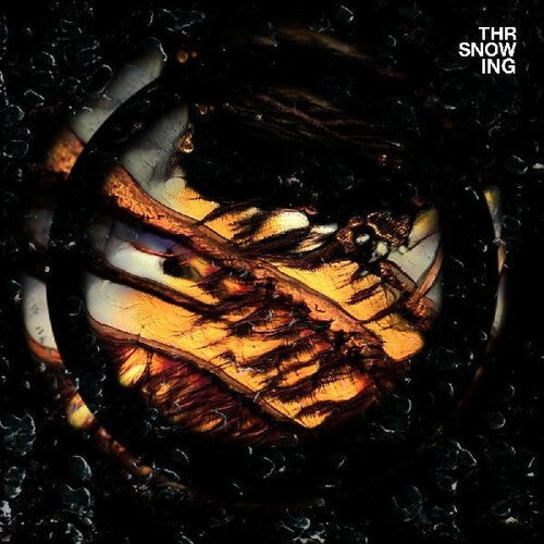 Throwing Snow - Dragons (Vinyl) { vinyl }