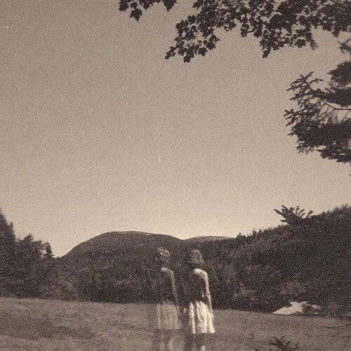 Goldmund - The Malady Of Elegance (Vinyl) { vinyl }
