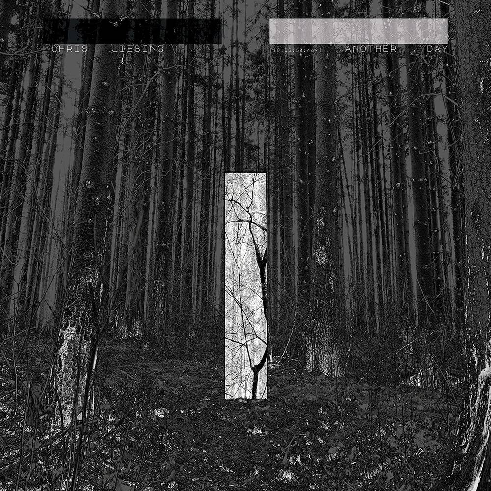 Chris Liebing - Another Day (LP) { vinyl }