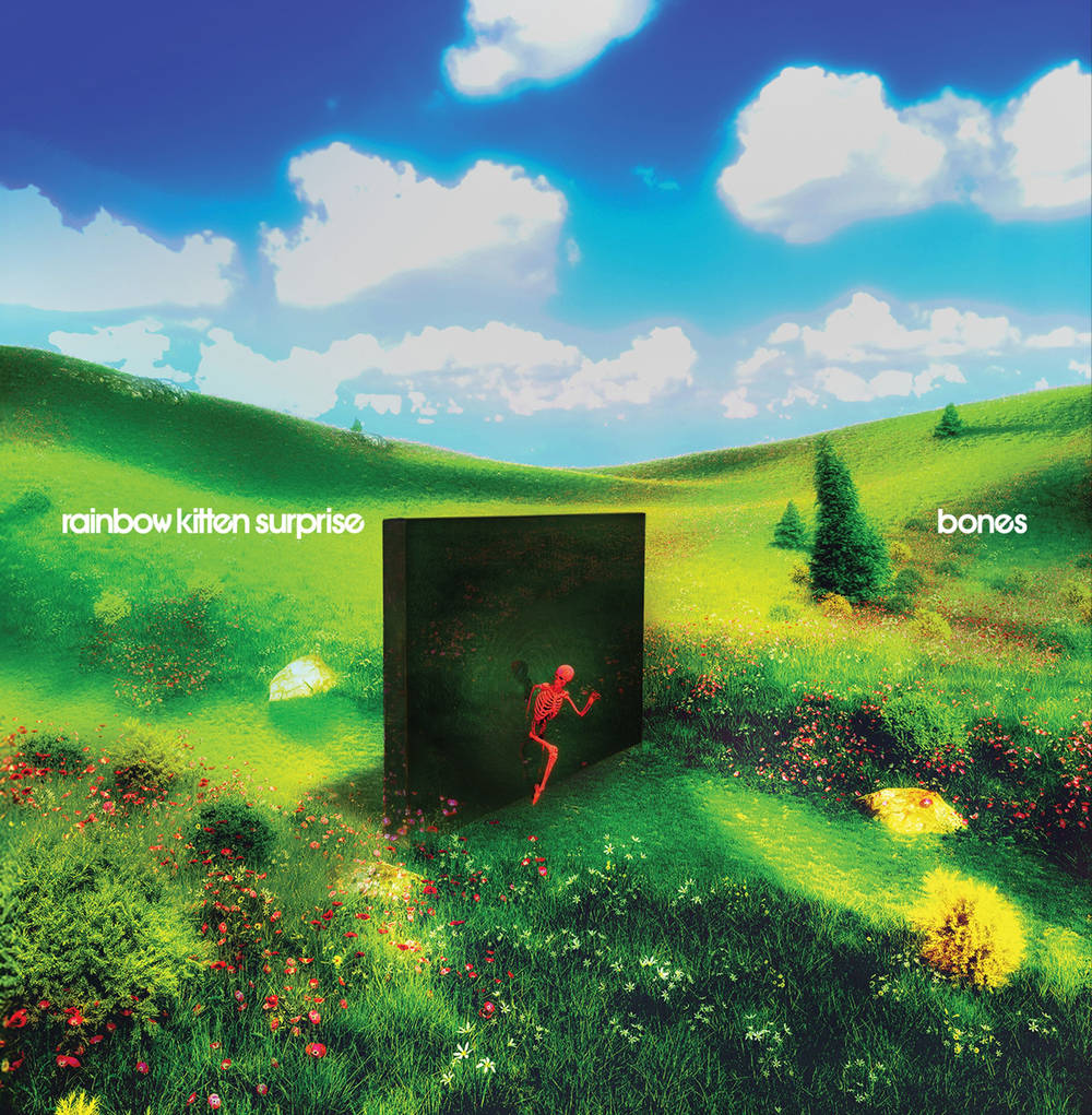 Rainbow Kitten Surprise- bones { vinyl }