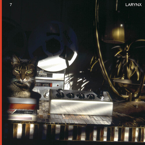 Lary 7 - Larynx (Vinyl) { vinyl }