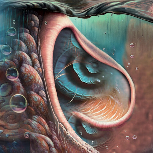 Various Artists - Meddle Reimagined - A Tribute To Pink Floyd - COKE BOTTLE GREEN (Vinyl) { vinyl }