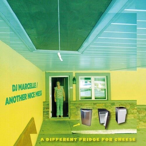 A Different Fridge For Cheese (Vinyl) { vinyl }