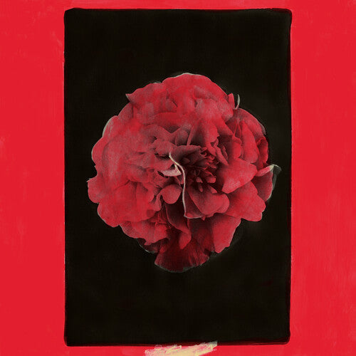 Activity - A Thousand Years in Another Way (Vinyl) { vinyl }
