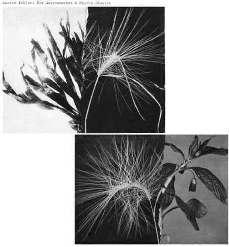 Andrew Pekler - New Environments And Rhythm Studies (Vinyl) { vinyl }