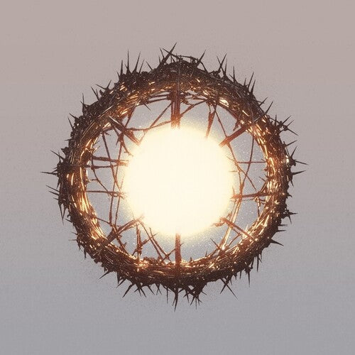 Ziur - Home (Vinyl) { vinyl }