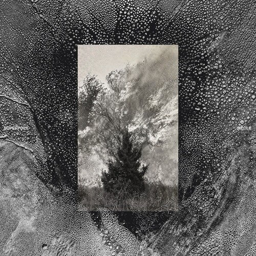 Superpoze - Siecle (Vinyl) { vinyl }