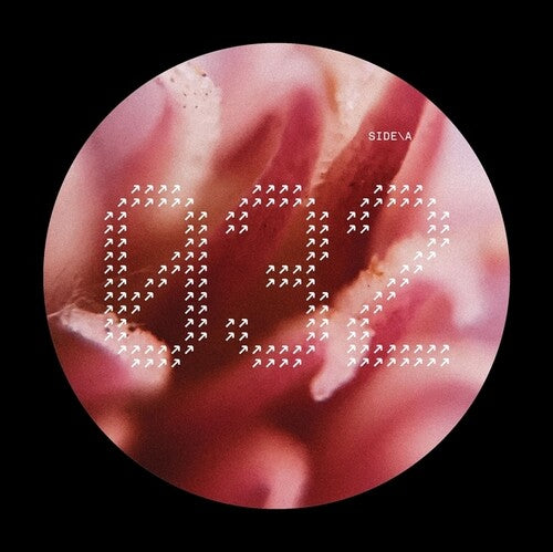 Various Artists - NECH032 (Vinyl) { vinyl }