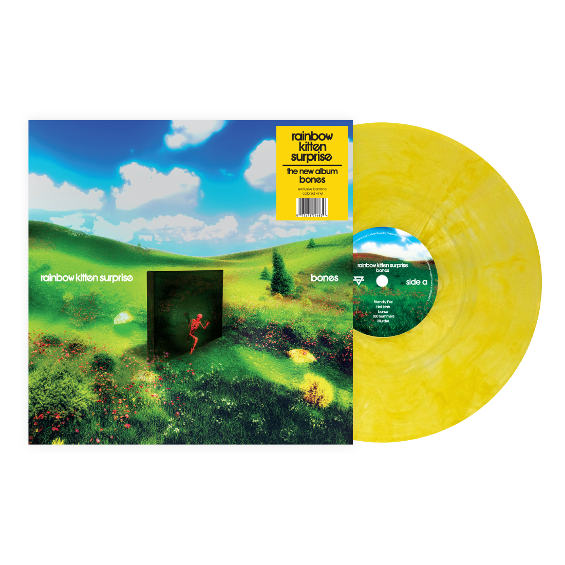Rainbow Kitten Surprise- bones (Indie Exclusive Banana Vinyl) { vinyl }