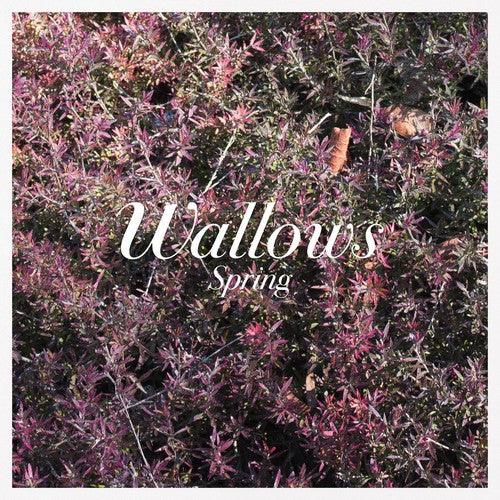 Wallows- Spring EP { vinyl }