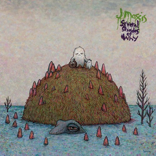 J Mascis - Several Shades of Why (Vinyl) { vinyl }