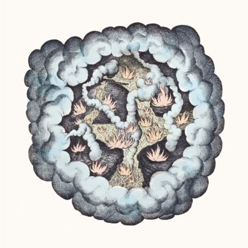 TW Walsh - Songs of Pain and Leisure (Vinyl) { vinyl }