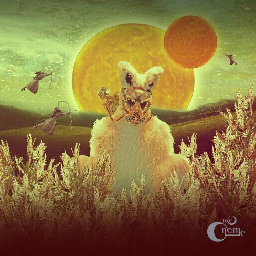 Mr. Gnome - Madness in Miniature (Vinyl) { vinyl }