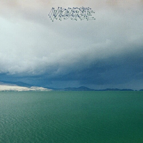 Modest Mouse - Fruit That Ate Itself (Vinyl) { vinyl }