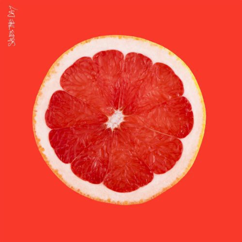 Saves the Day - Saves the Day (Vinyl) { vinyl }