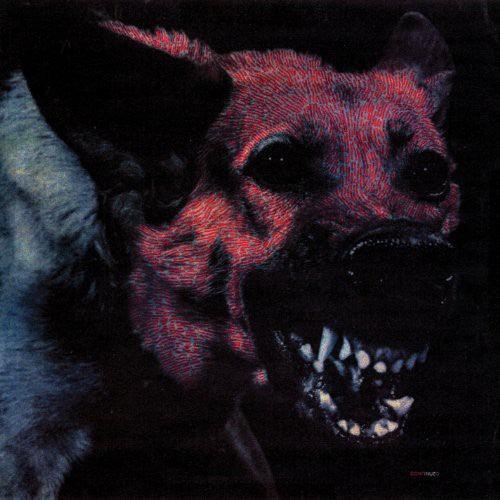 Protomartyr- Under Color of Official Right { vinyl }