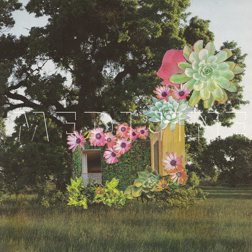 Medicine - Home Everywhere (Vinyl) { vinyl }