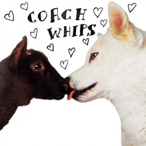 Coachwhips - Bangers Vs. Fuckers (Vinyl) { vinyl }