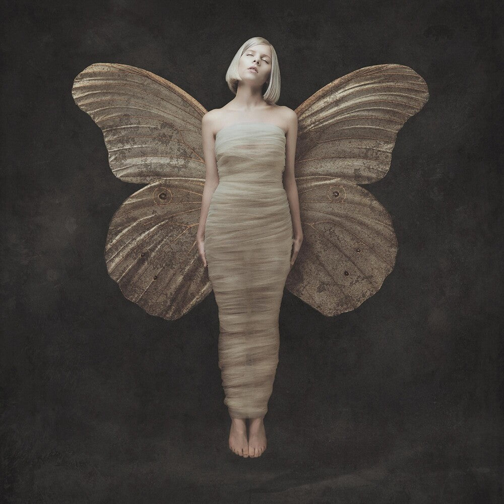 AURORA- All My Demons Greeting Me As A Friend [LP] { vinyl }