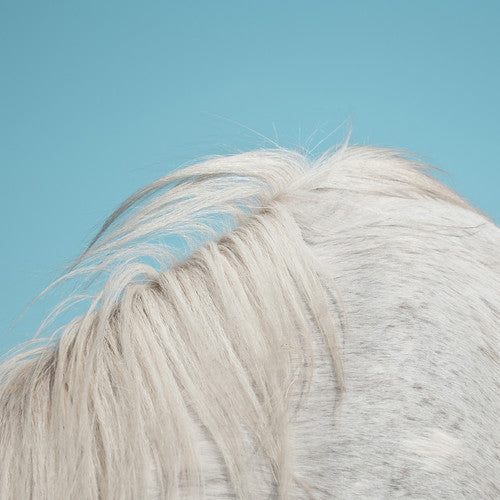 Widowspeak - All Yours (Vinyl) { vinyl }
