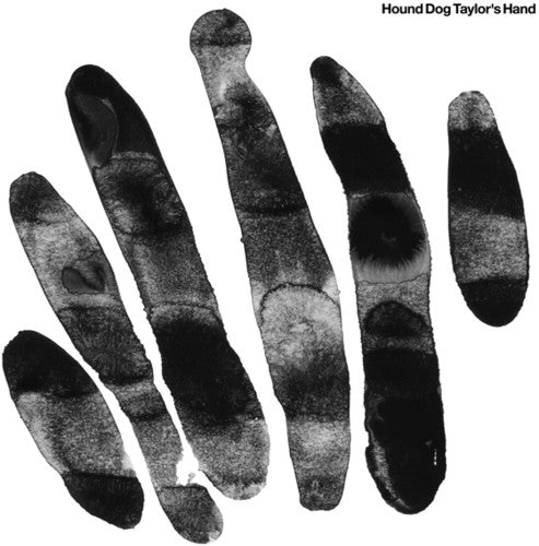 Hound Dog Taylor - Hound Dog Taylor's Hand (Vinyl) { vinyl }