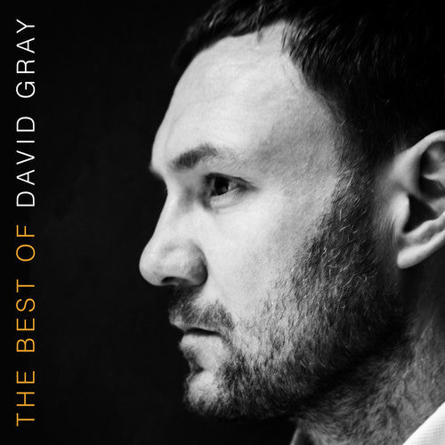 David Gray- The Best Of David Gray [Vinyl] { vinyl }