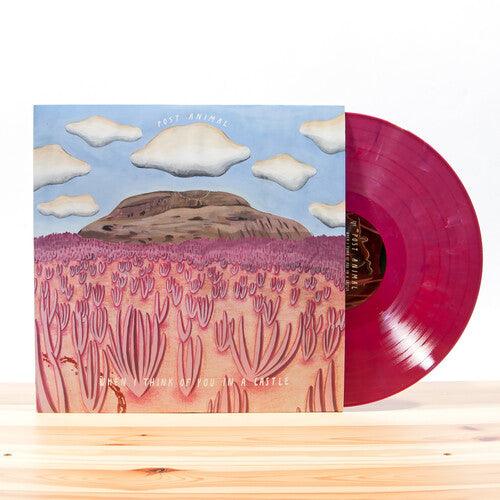 Post Animal- When I Think Of You In A Castle ( { vinyl }