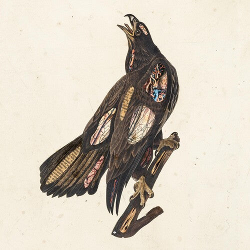 Clutch - Book Of Bad Decisions (Vinyl) { vinyl }