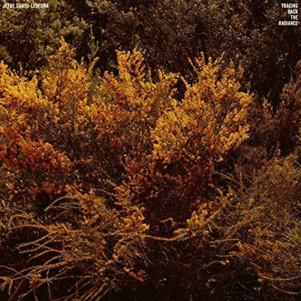 Jefre Cantu-Ledesma - Tracing Back The Radiance (LP) { vinyl }