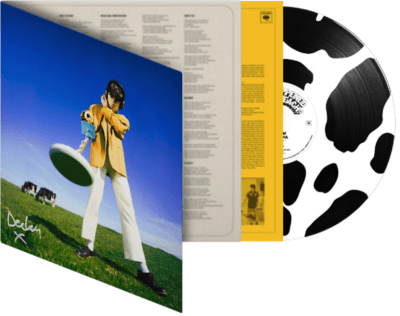 Declan McKenna- What Happened To The Beach? (DLX Moo Eco Pic Disc) { vinyl }