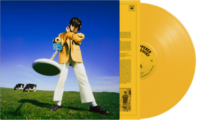 Declan McKenna- What Happened To The Beach? (Indie Exclusive Vinyl) { vinyl }