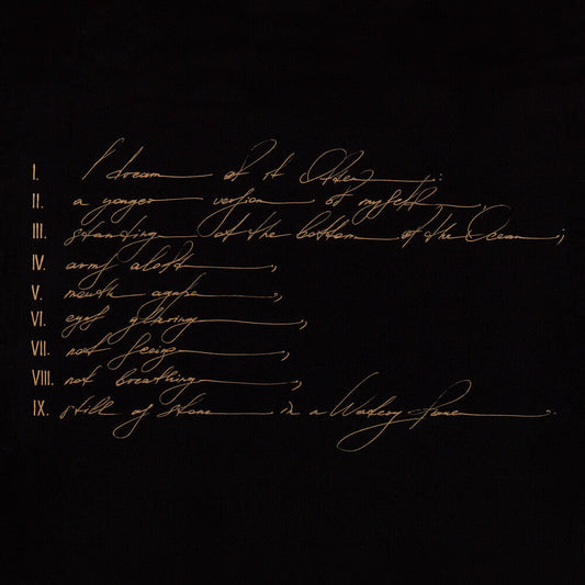 Telefon Tel Aviv - Dreams Are Not Enough (LP) { vinyl }