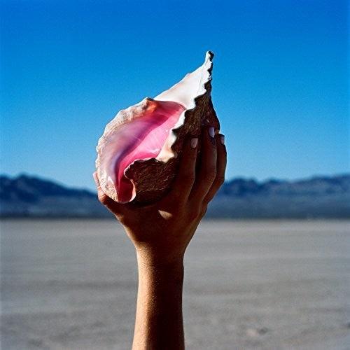 The Killers- Wonderful Wonderful { vinyl }