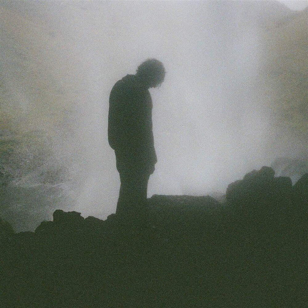 Palmistry - Afterlife (LP) { vinyl }