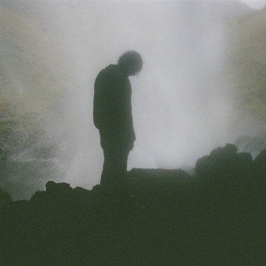 Palmistry - Afterlife (LP) { vinyl }