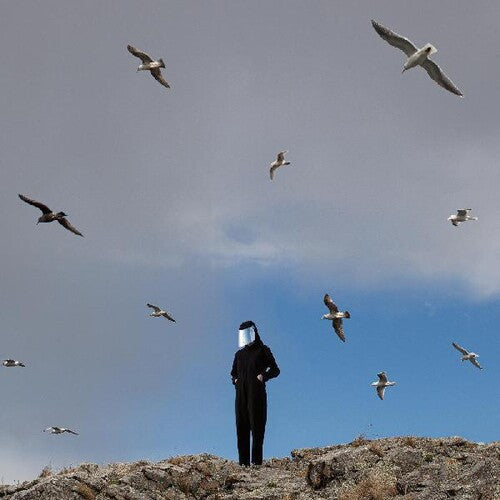 Remote (Vinyl) { vinyl }