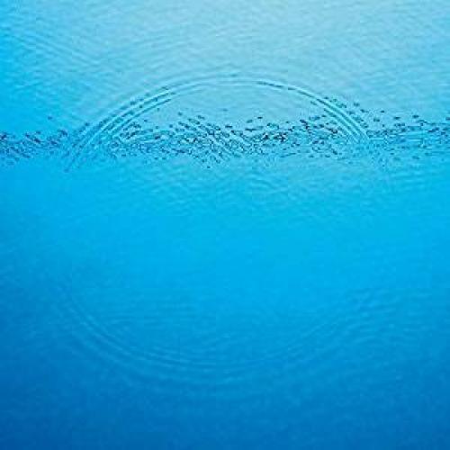 Caribou- Suddenly { vinyl }