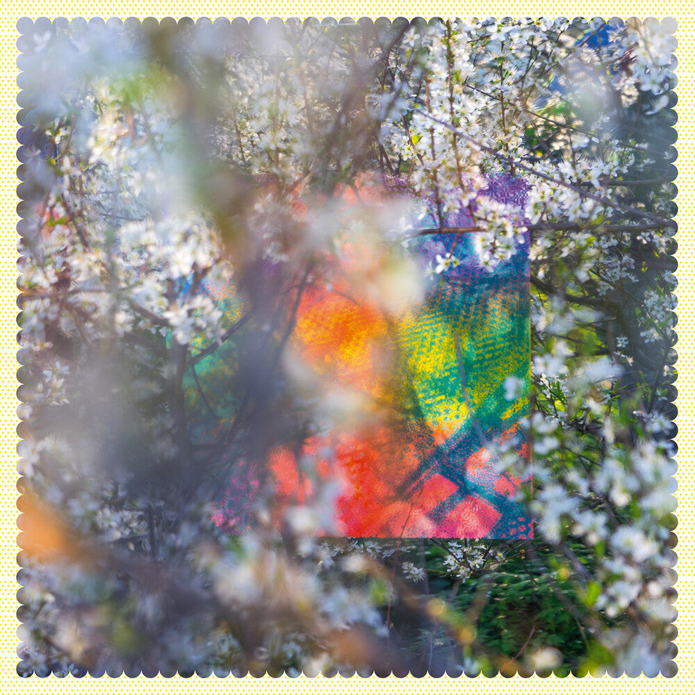 Four Tet - Sixteen Oceans (LP) { vinyl }