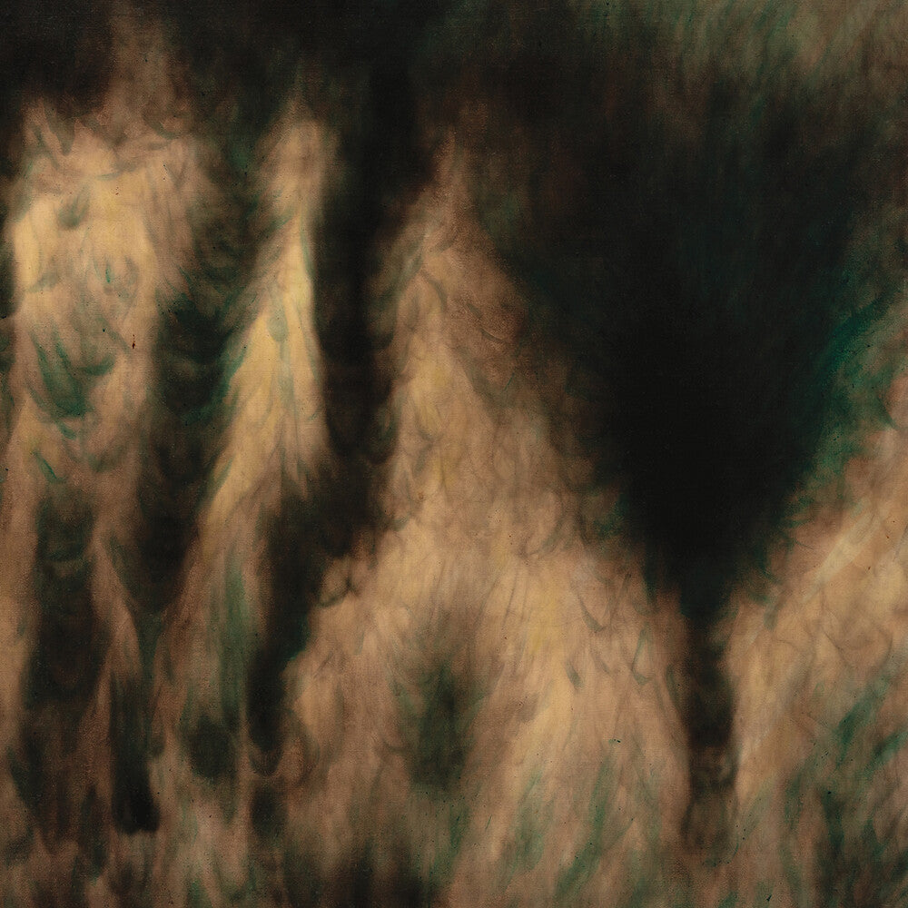 William Basinski - Lamentations (2LP) { vinyl }