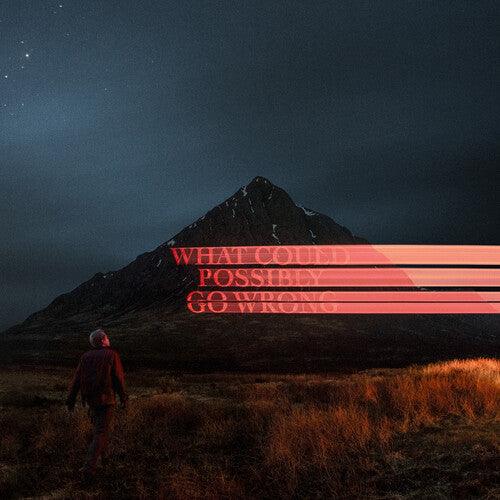 Dominic Fike- What Could Possibly Go Wrong { vinyl }