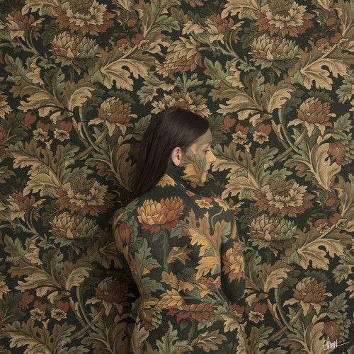 Honeyblood - In Plain Sight (Vinyl) { vinyl }