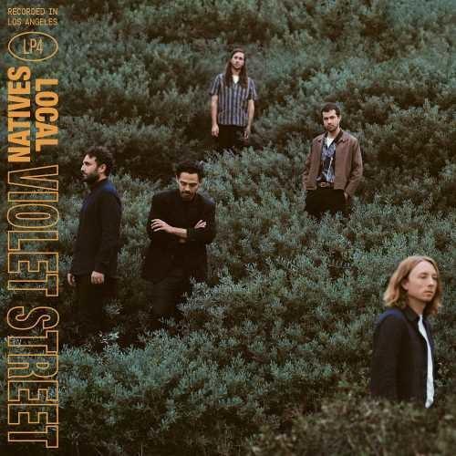 Local Natives- Violet Street { vinyl }