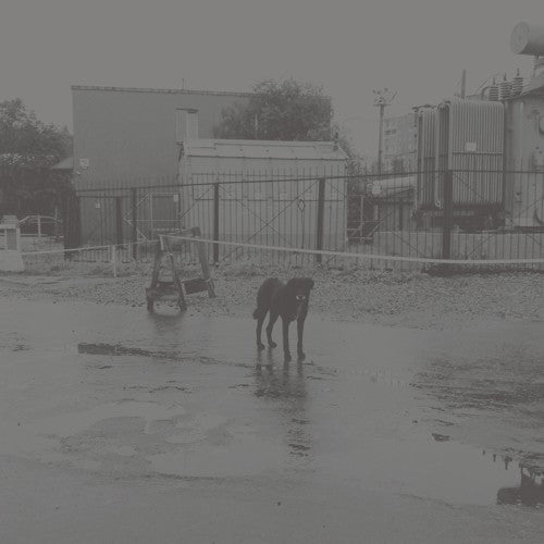 Nivhek - After Its Own Death / Walking In A Spiral Towards The House (Vinyl) { vinyl }
