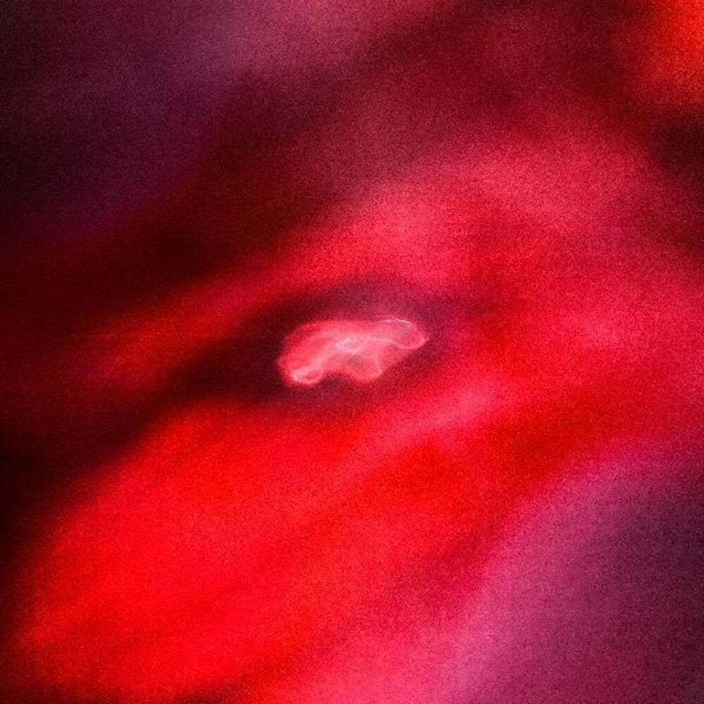 Saffronkeira / Siavash Amini - Faded Orbit (Indie Exclusive Limited Edition Red LP) { vinyl }