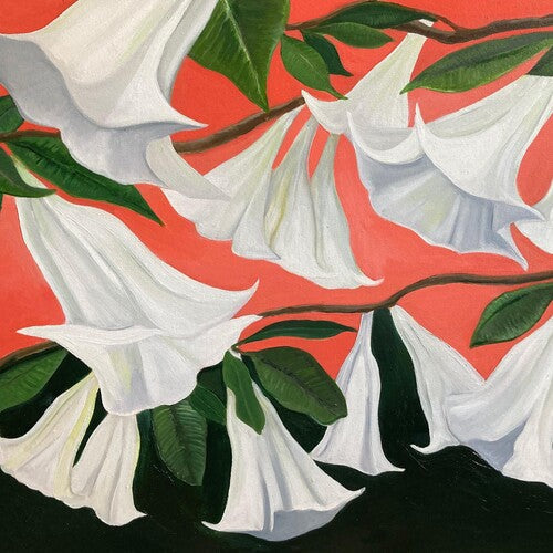 Danny George Wilson - Another Place (Vinyl) { vinyl }