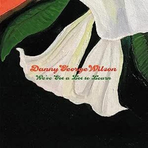 Danny George Wilson - We've Got A Lot To Learn (Vinyl) { vinyl }