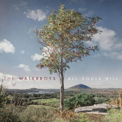 The Waterboys - All Souls Hill (Vinyl) { vinyl }