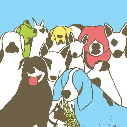 The Format- Dog Problems { vinyl }